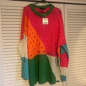 Davi and Dani sweater, 2x